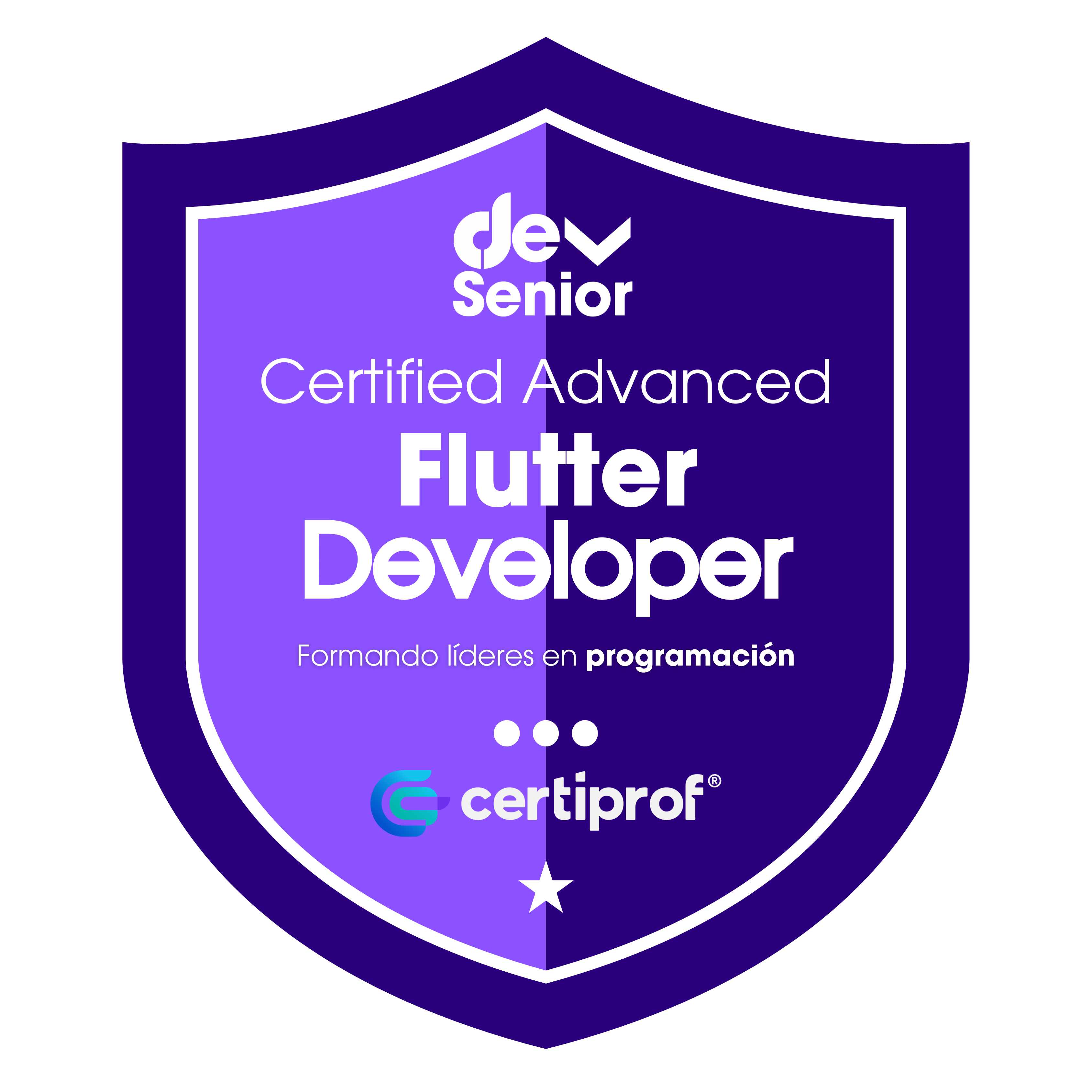 Insignia Advanced Flutter Developer